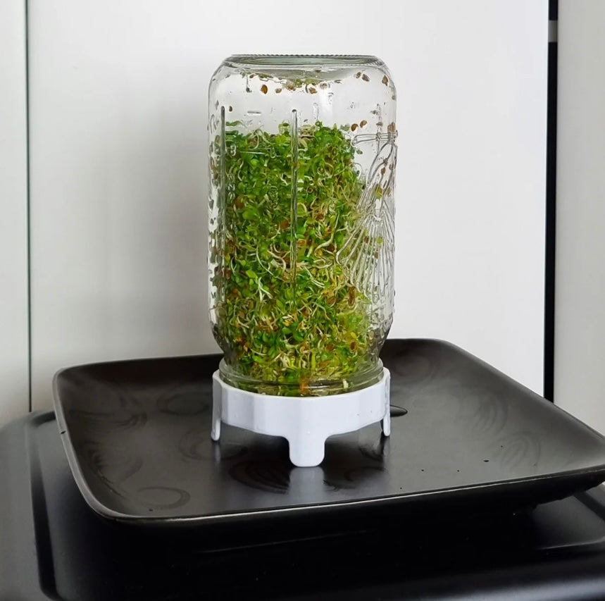 Goodlife Sprouting Jar Kit 1L