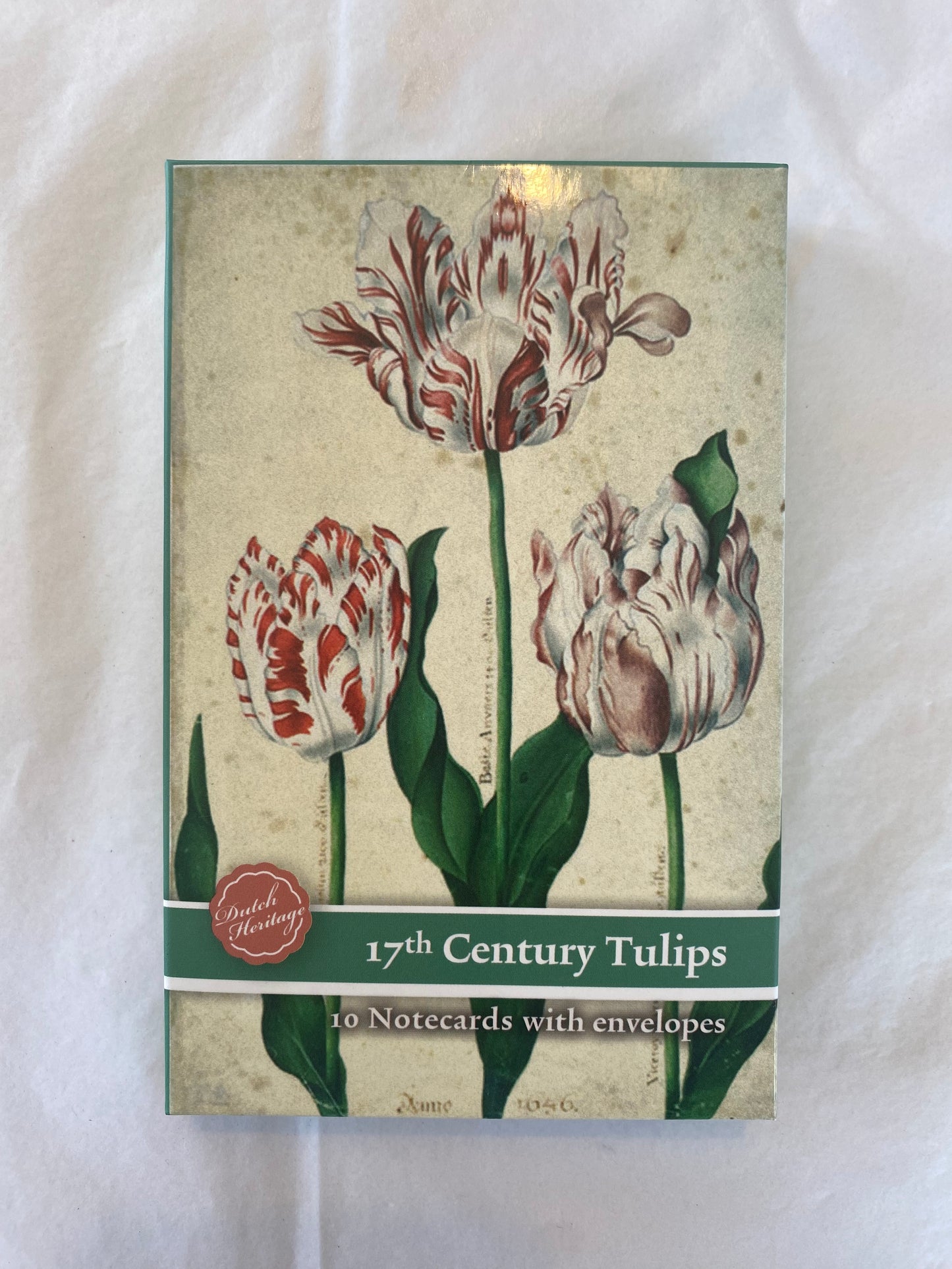 Notecard & Envelope Set of 10 - Tulips