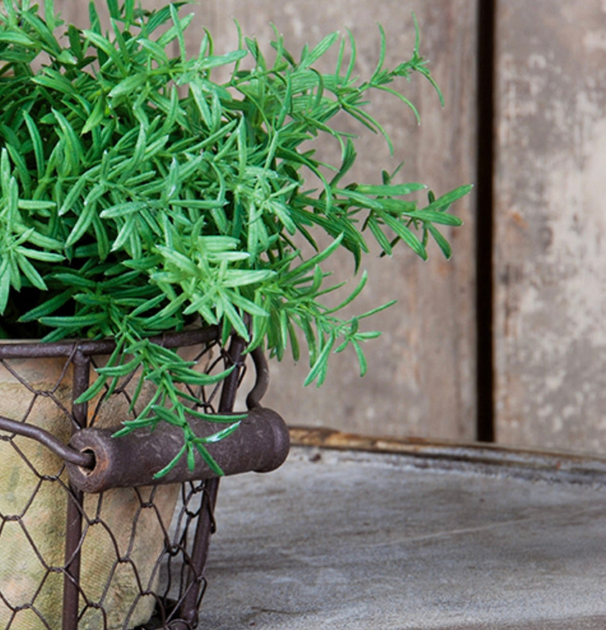 Aged terracotta pot in basket