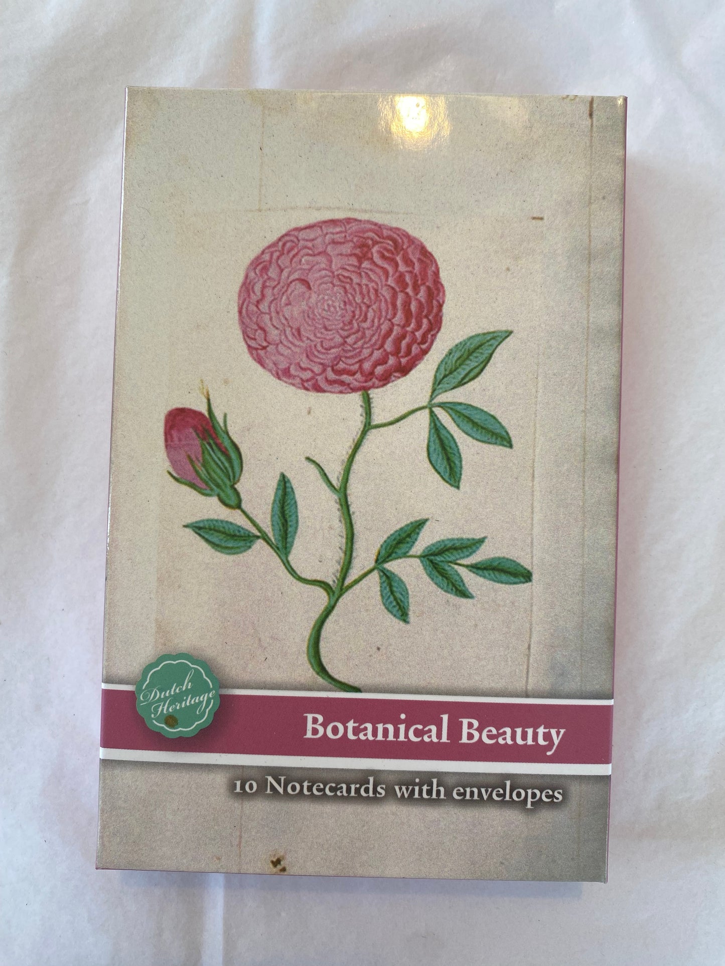 Notecard & Envelope Set of 10 - Botanical