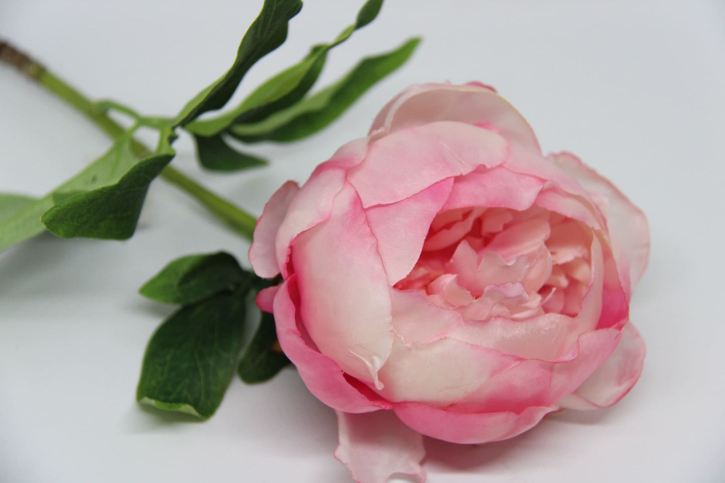 Green Sets - Peonies