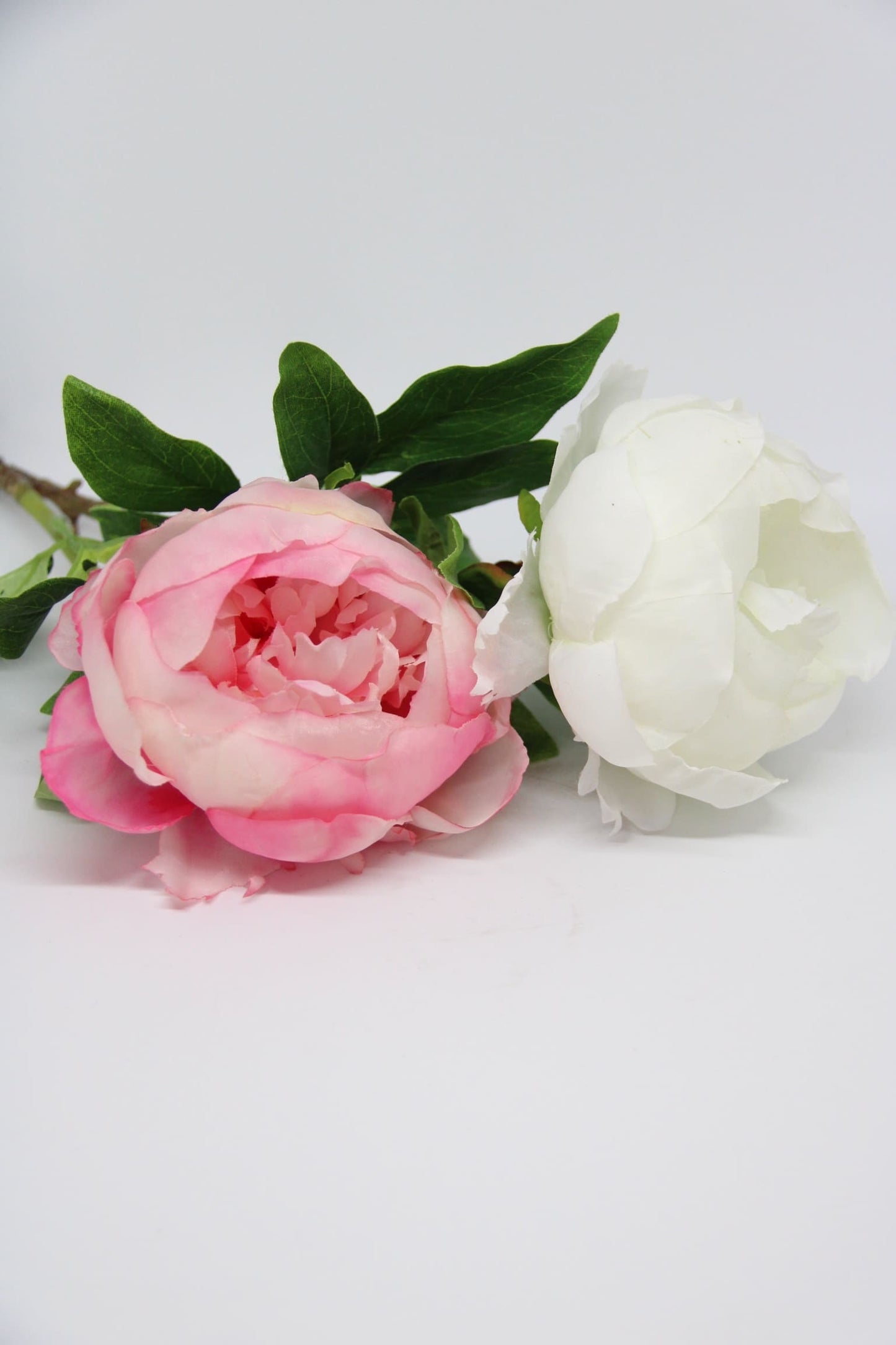 Green Sets - Peonies