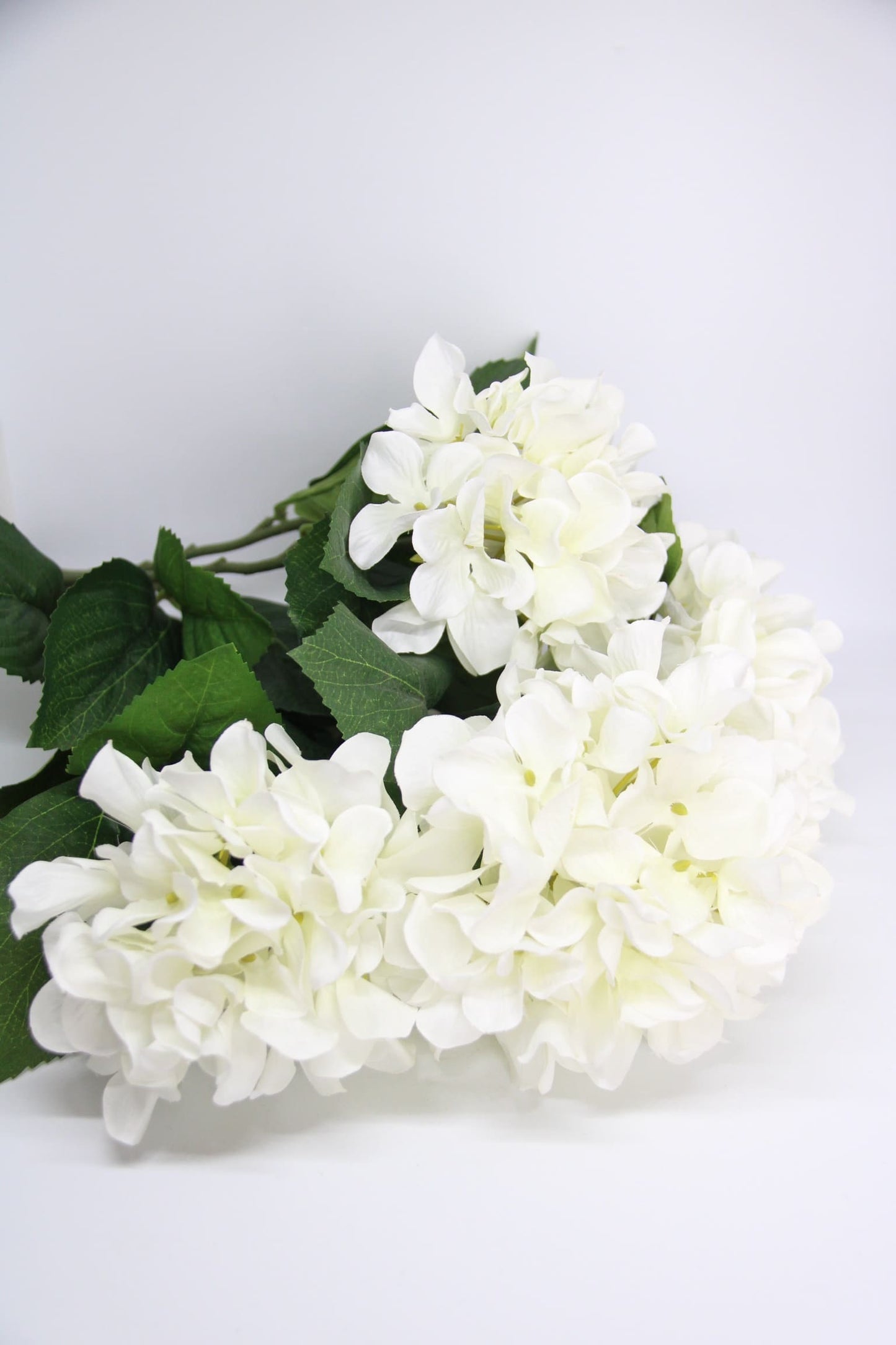 Green Sets - Hydrangea Bunch White