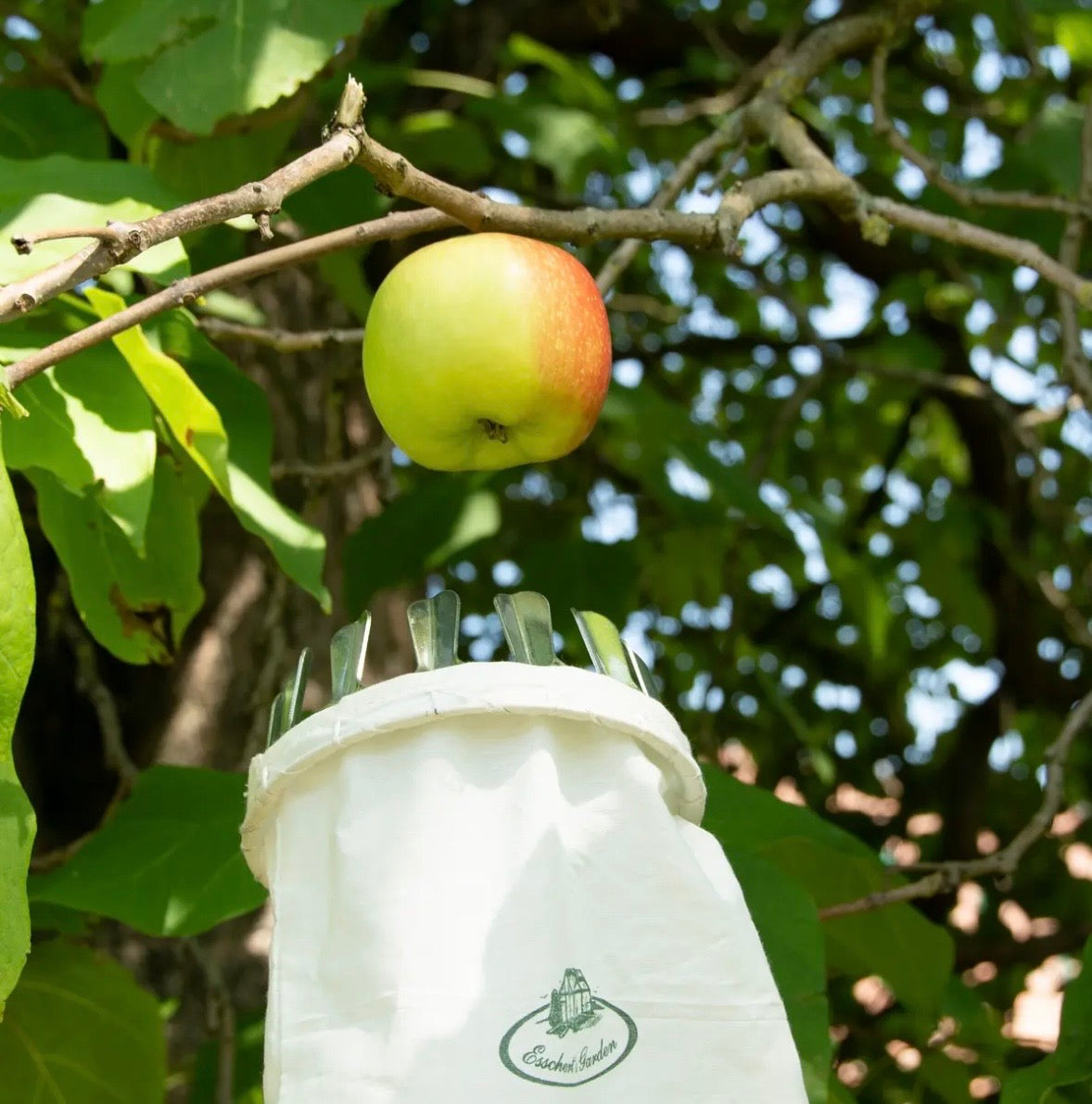 Fruit Picker