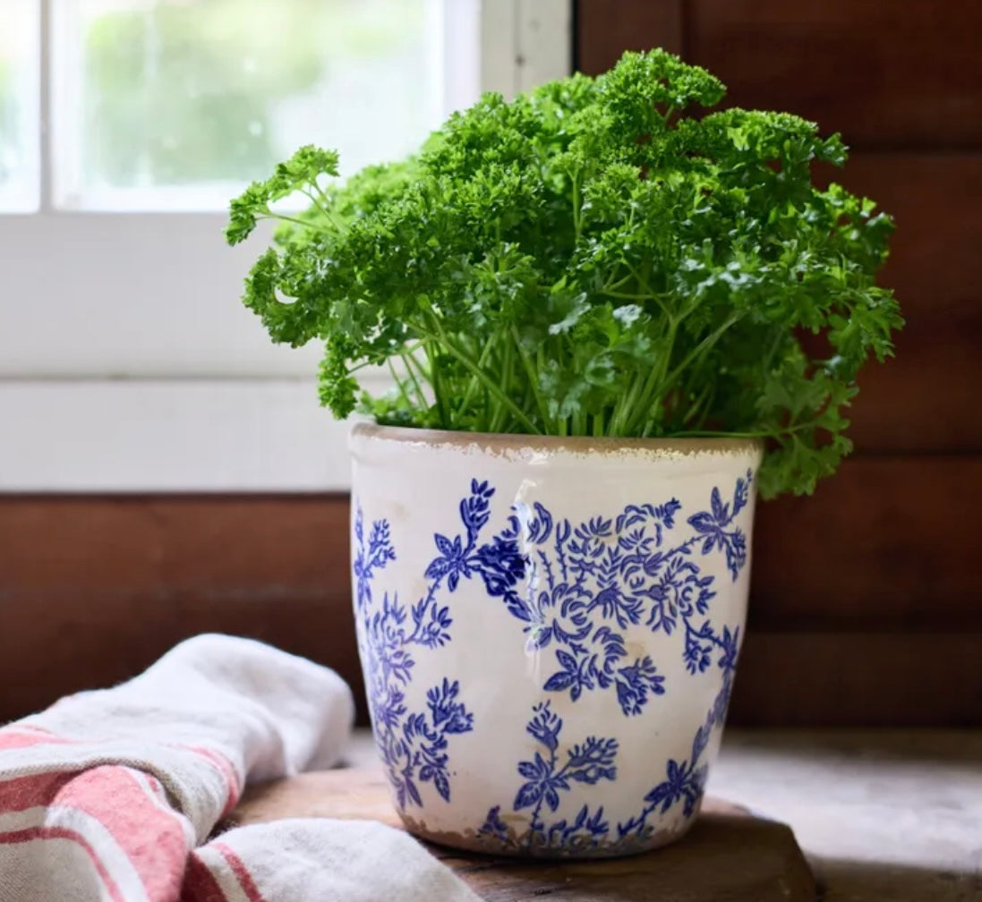 French Country Blue Floral Herb Pot Large