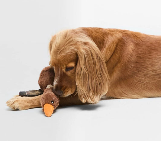 Barbour Duck Dog Toy