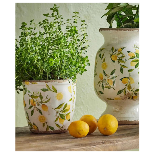 French Country Collections Botanical Lemon Pot Large