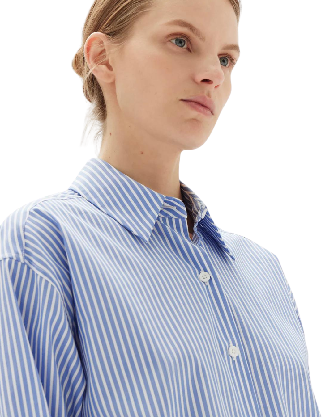 Assembly Label Poplin Shirt - Blue & White Stripe