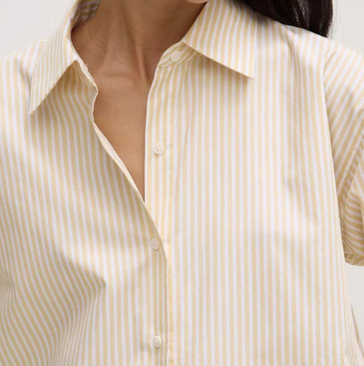 Assembly Label Signature Poplin Shirt in Chamomile/White Stripe