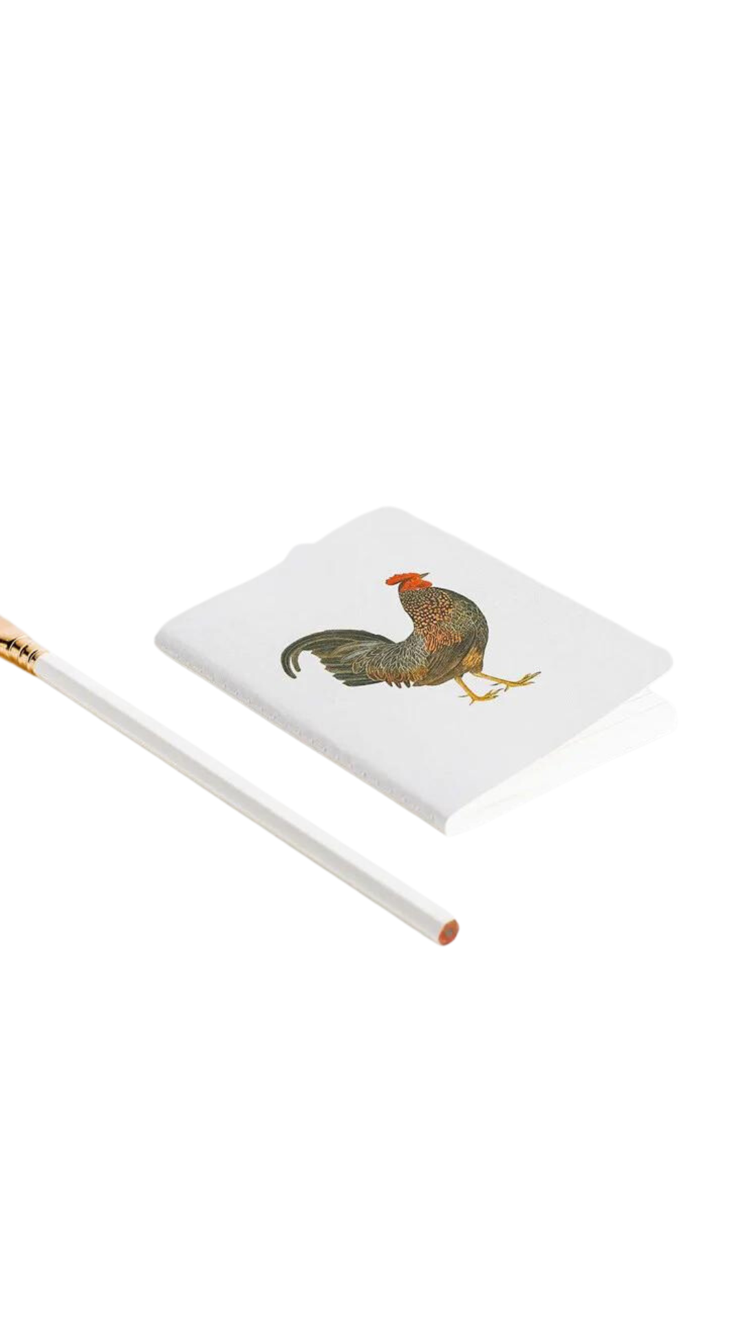 Father Rabbit Pocket Notebook Rooster