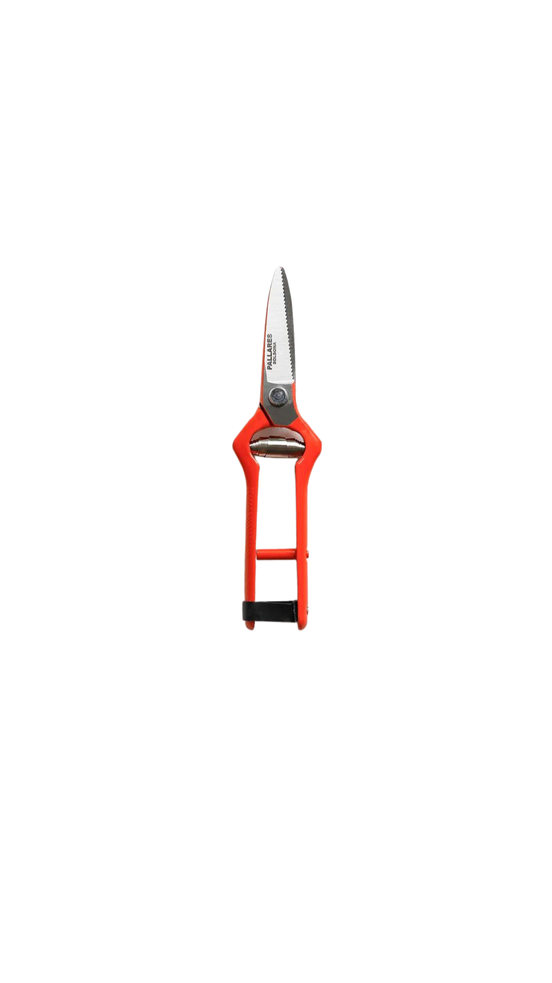 Pallarès Pruning Shears Curve Scissor