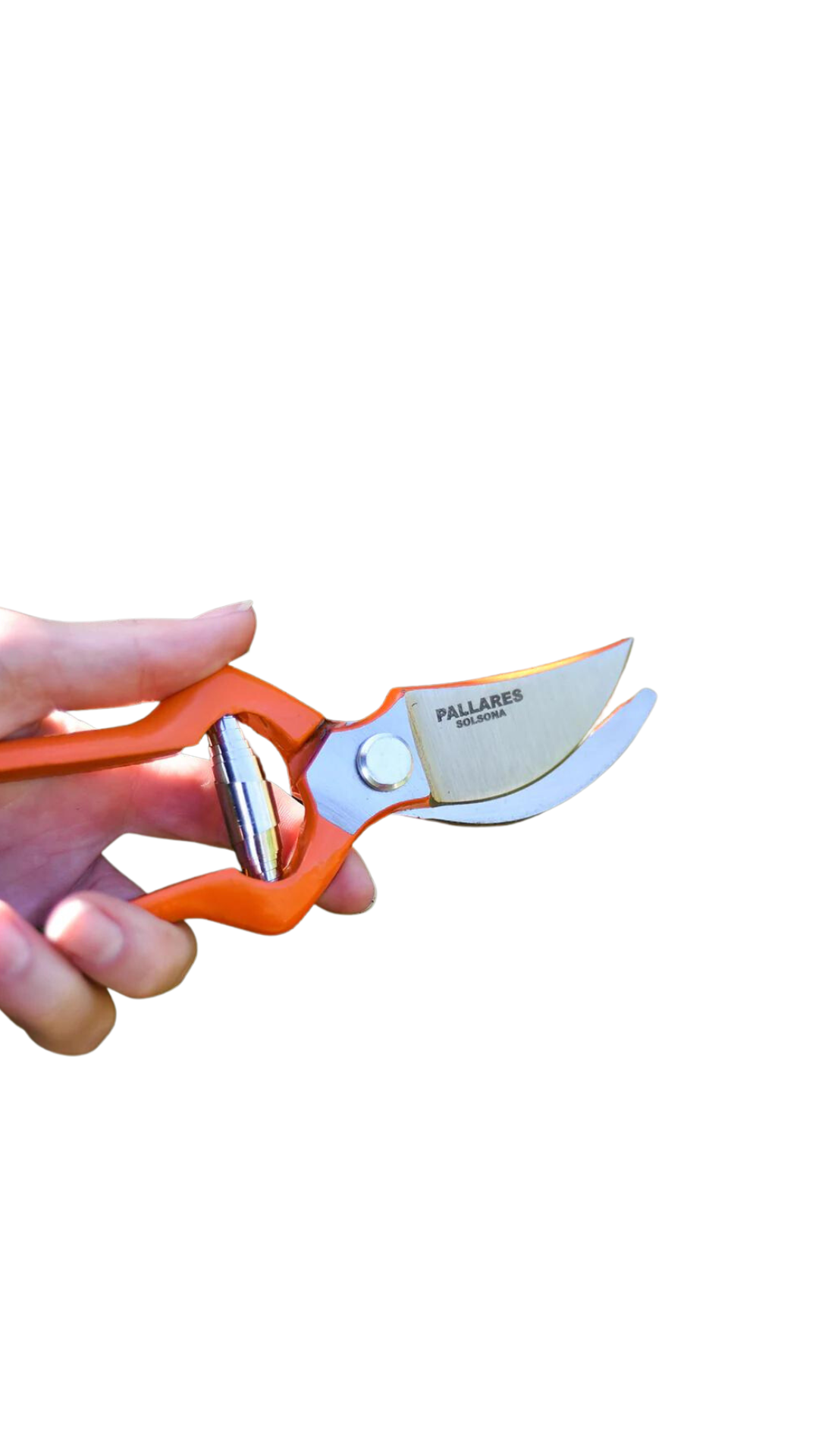 Pallarès Pruning Shears