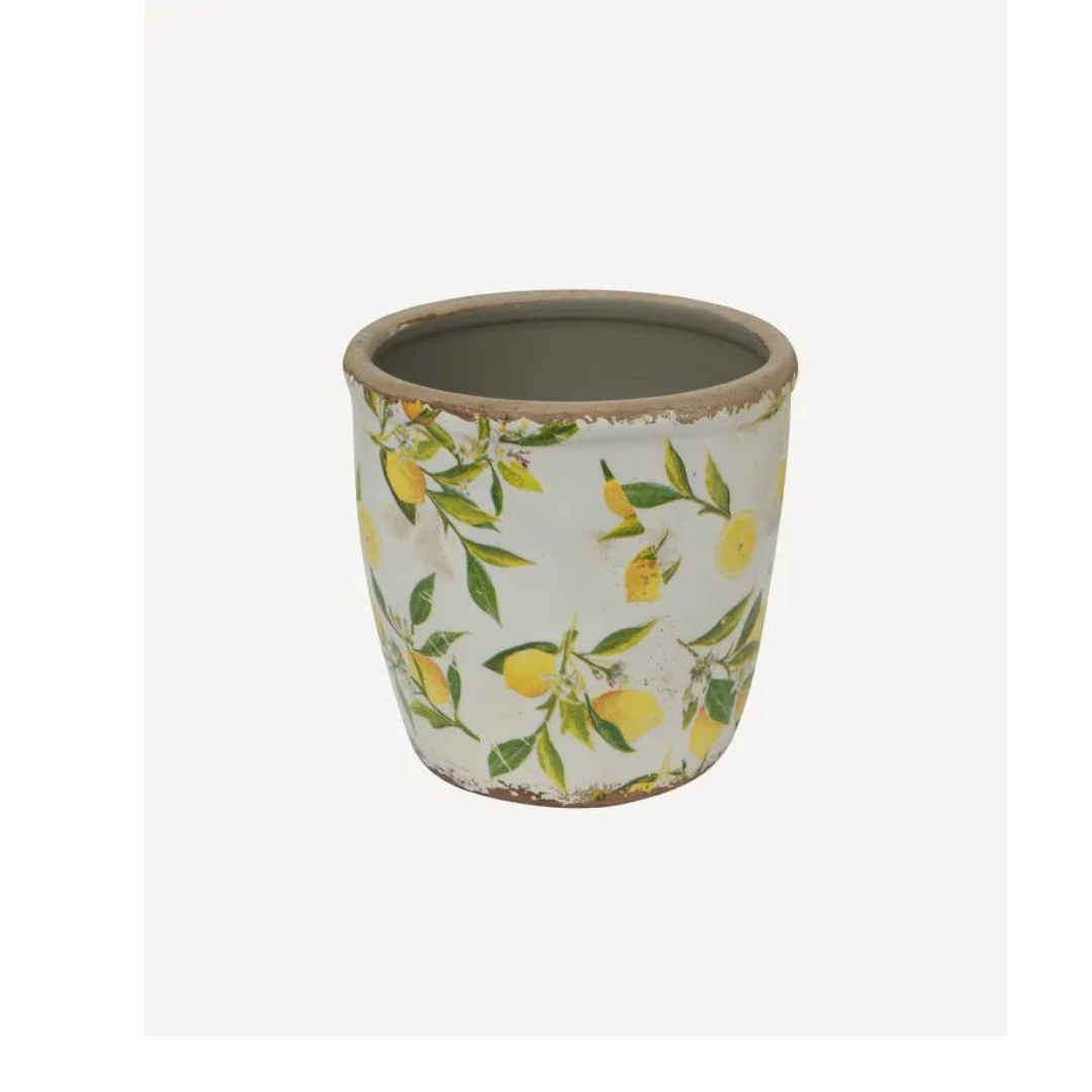 French Country Collections Botanical Lemon Pot Large