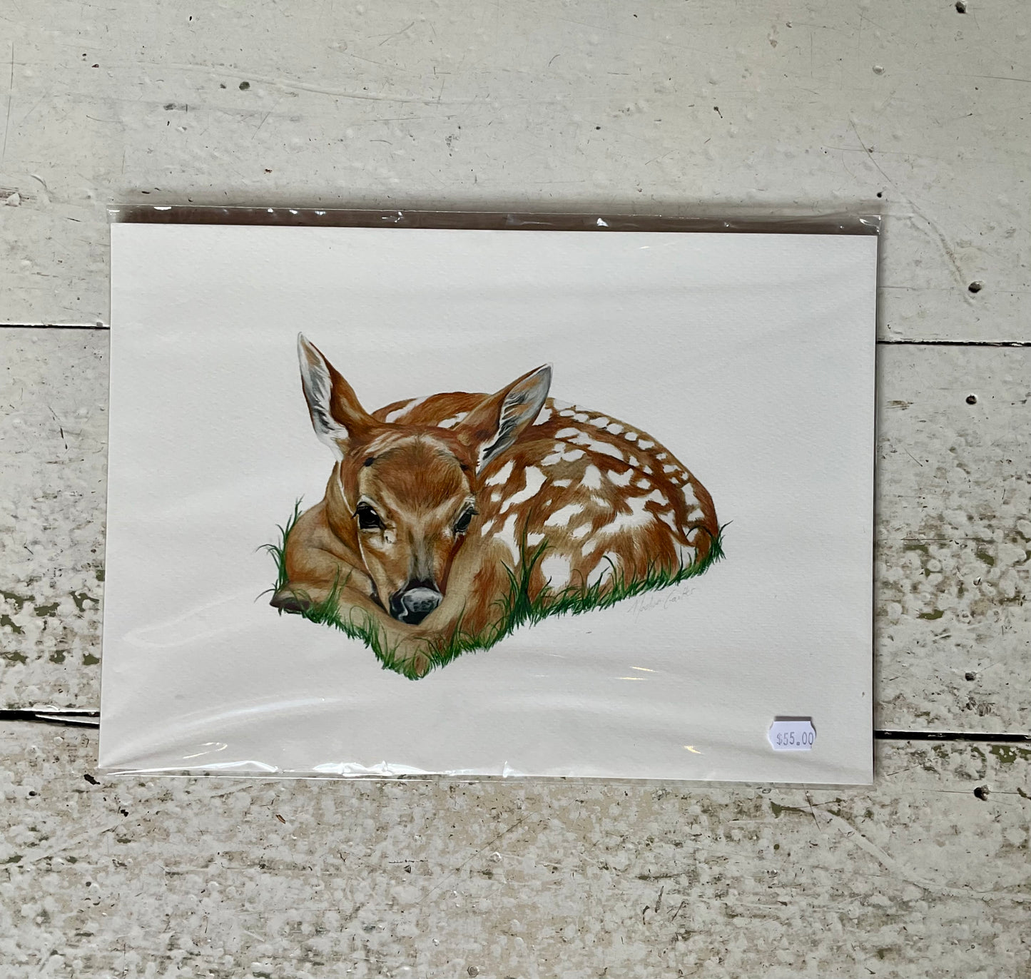 Madison Coulter Art - Fawn A4