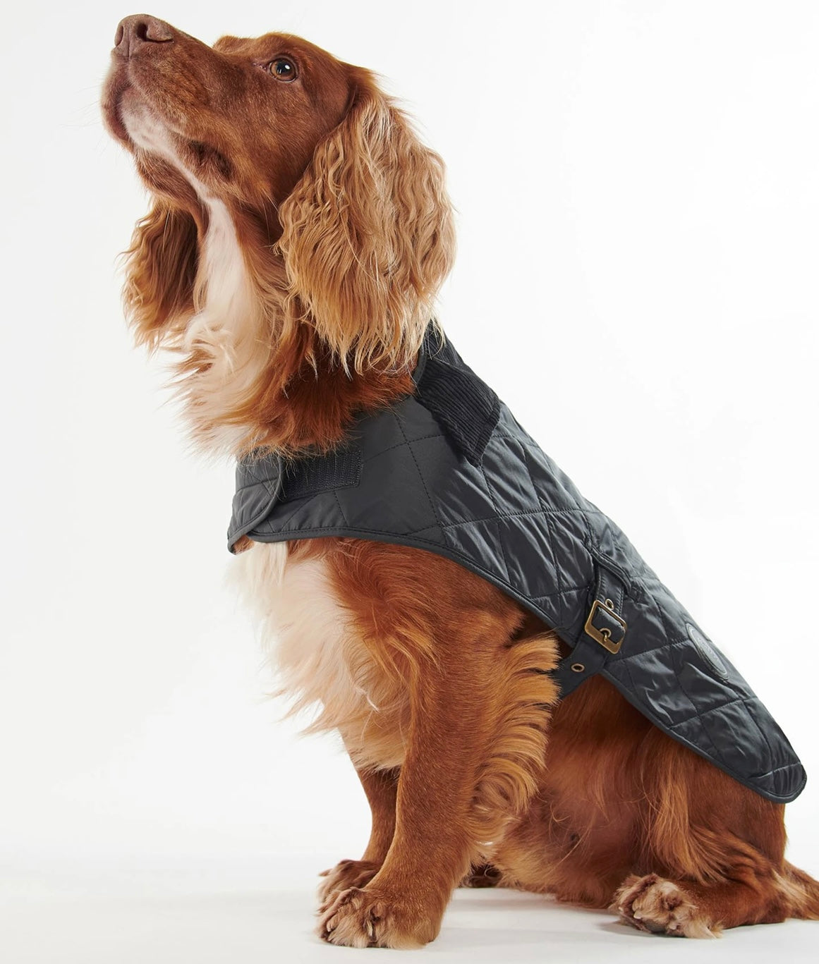 Barbour Quilted Dog Coat - Olive