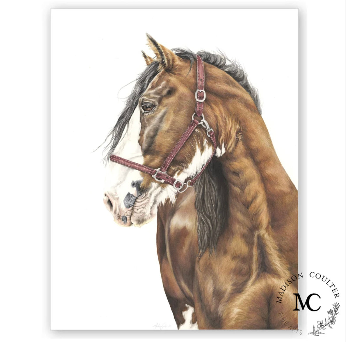 Madison Coulter Art - Clydesdale A4 Print