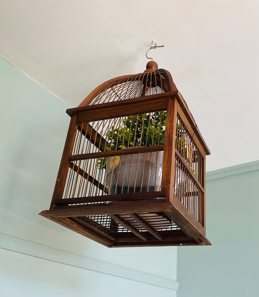 Bear & Fox Raffles  Decorative Bird Cage