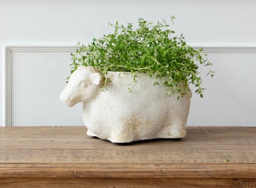 Sheep Flower Pot