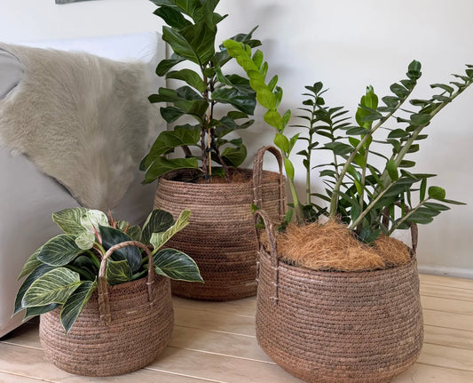 Nala planter basket set of 3