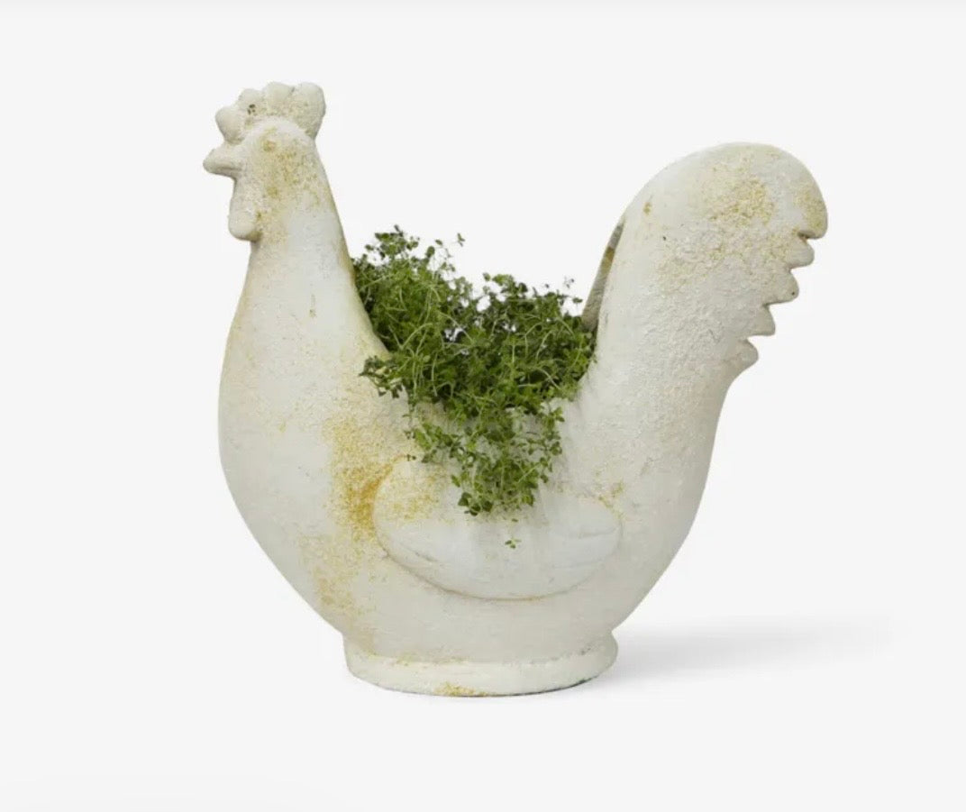 Chook Flower Pot