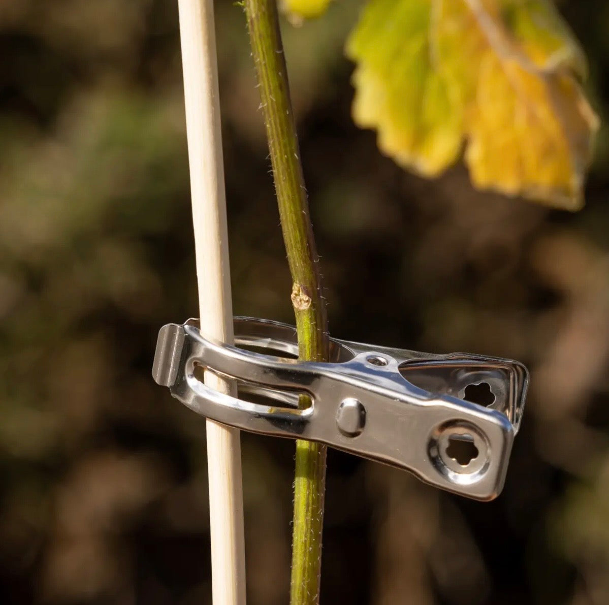 Set of 12 plant clips