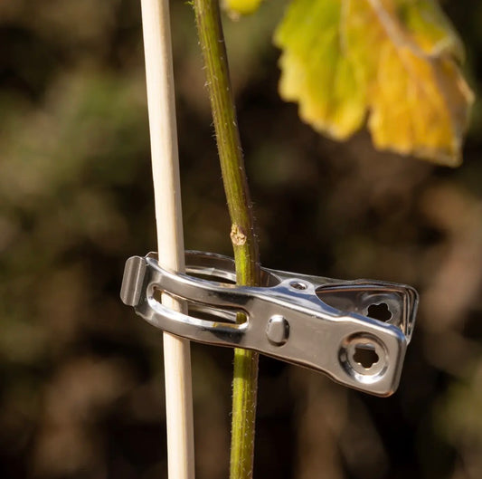Set of 12 plant clips