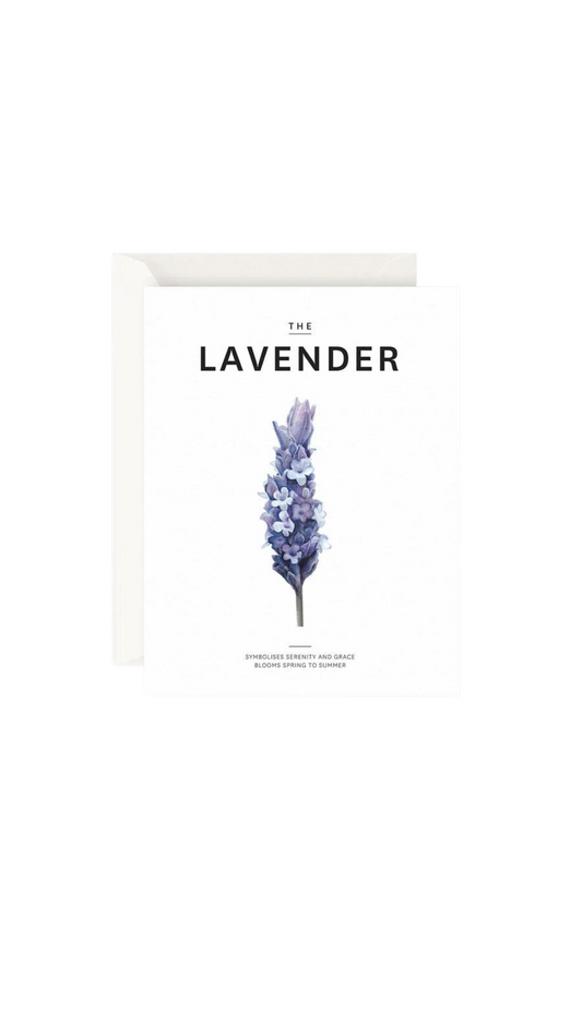 Father Rabbit Stationery The Lavender Card
